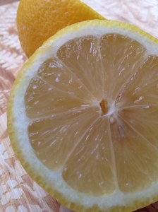 Photo Jan 23, 7 55 38 AM